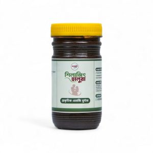 শিলাজিৎ হালুয়া